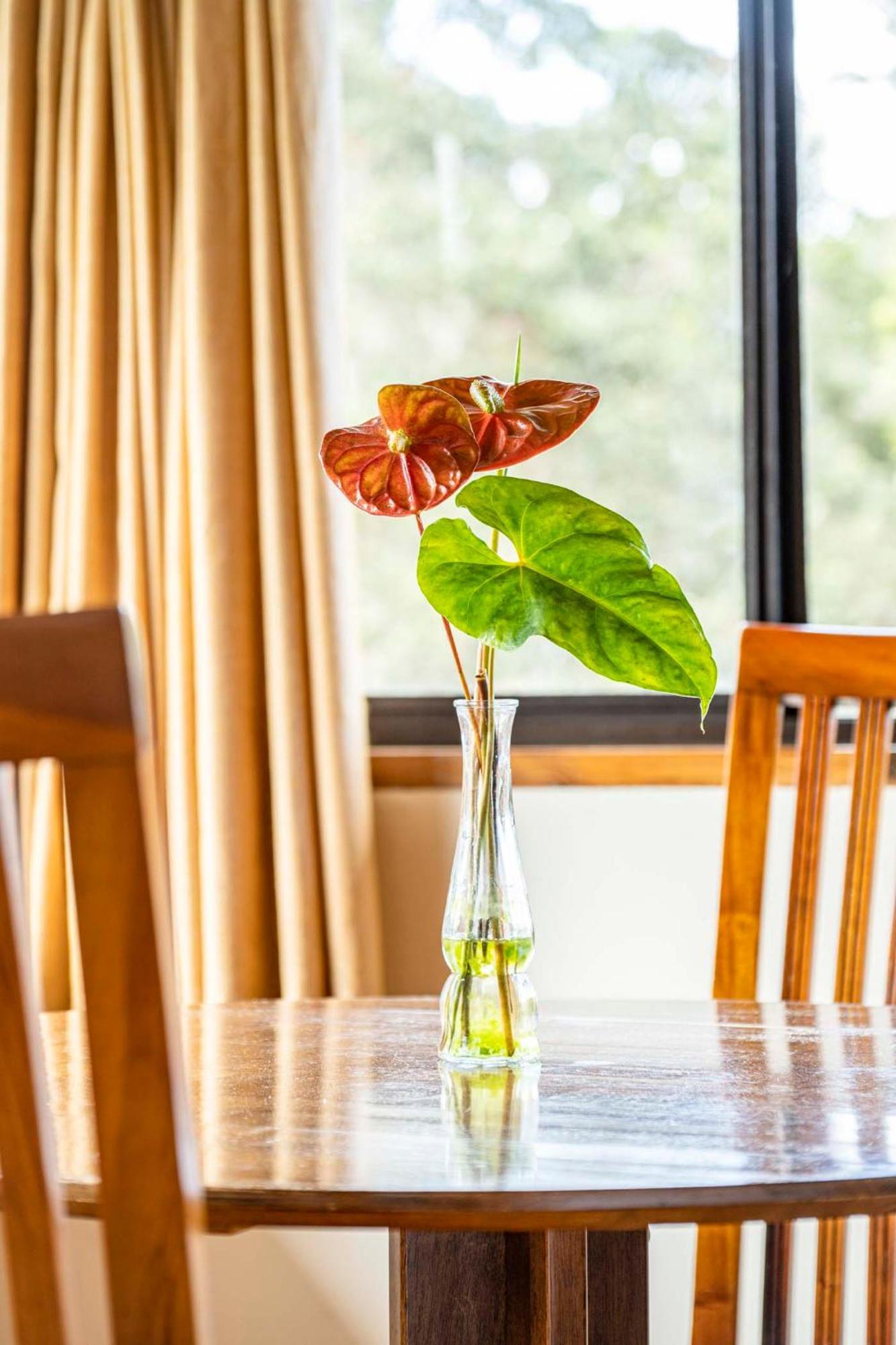 Volcano Inn Bed N Breakfast المظهر الخارجي الصورة