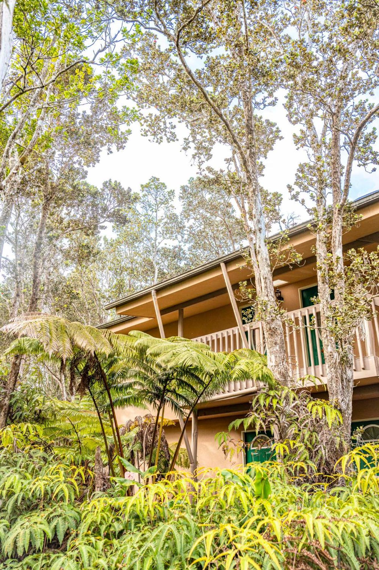 Volcano Inn Bed N Breakfast المظهر الخارجي الصورة